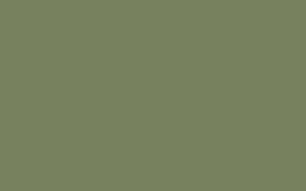 Image of Sage Green paint.